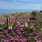 Miramar V Torrevieja