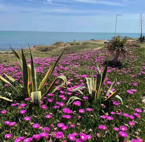 Miramar V Torrevieja